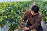 전남도, 친환경농산물 계약재배 청년농가 육성 박차
