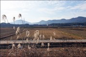 나주 노안 계량마을·영암 송내외마을 유기농 생태마을 선정