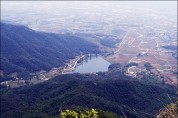 장성군, 감·복숭아·포도·민물장어 등 4개 품목 지역특산물 지정